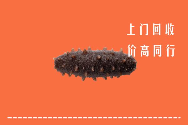 高价求购：枣庄市中回收海参