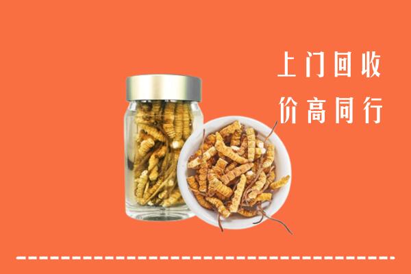 枣庄市中回收冬虫夏草