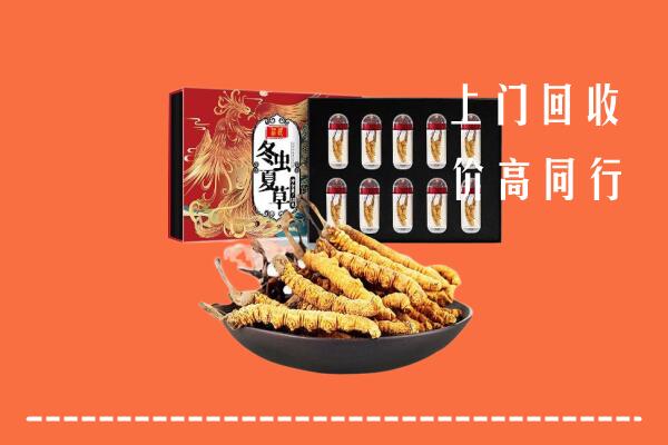 枣庄市中回收虫草